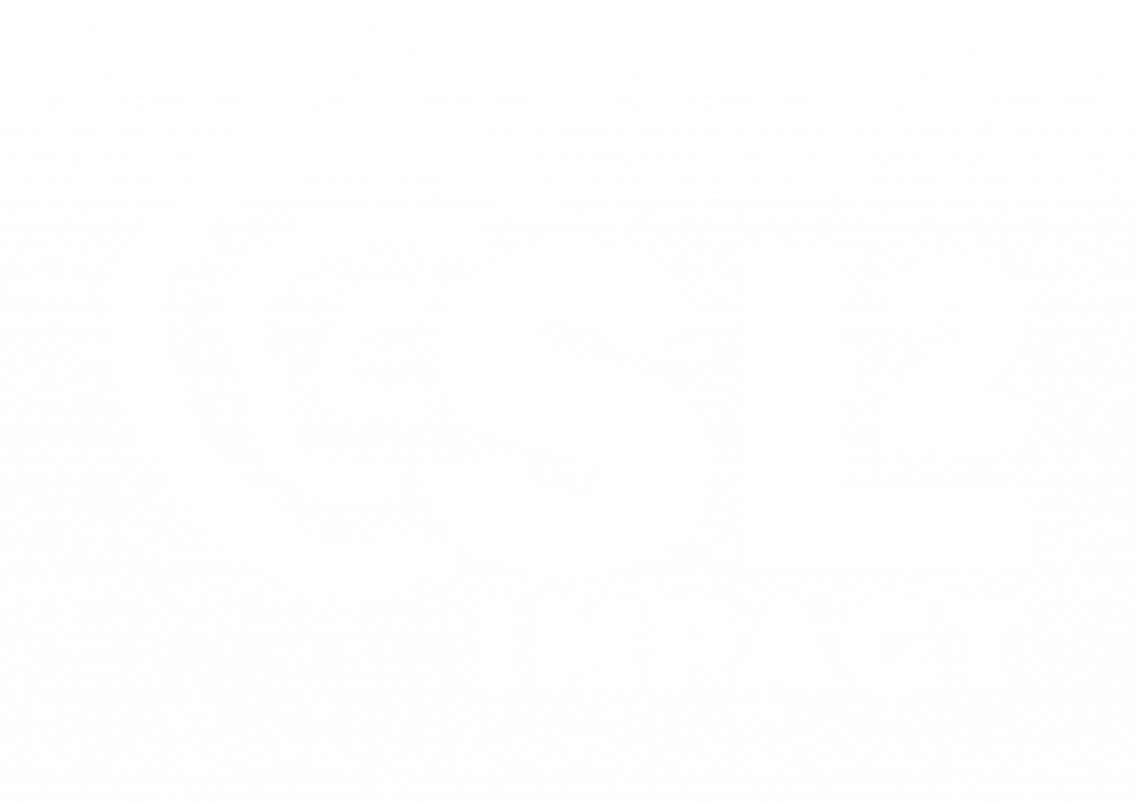 SL2 Impact Logo